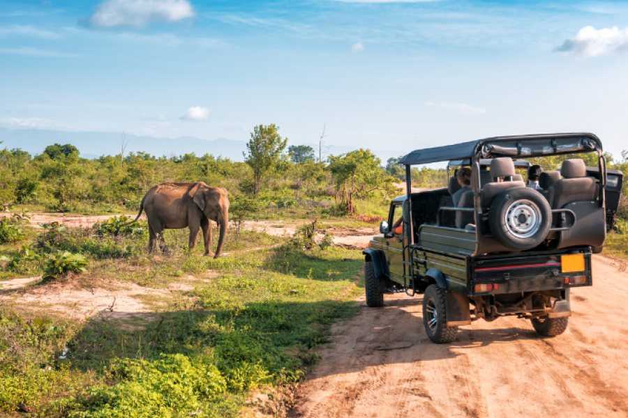 Ceylon Luxury Tours